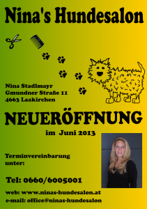 Flyer Ninas Hundesalon - Homepage